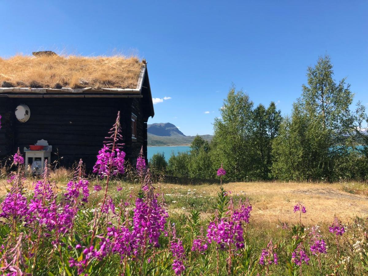 Brimi Fjellstugu 호텔 Tessand 외부 사진